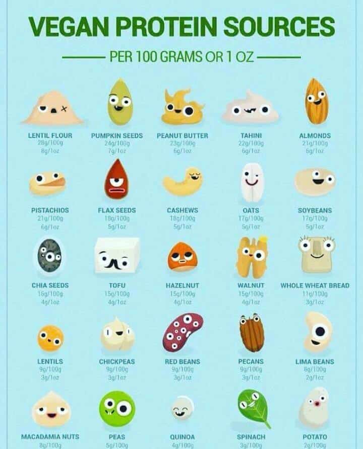 Desmascarando o grande mito da proteína