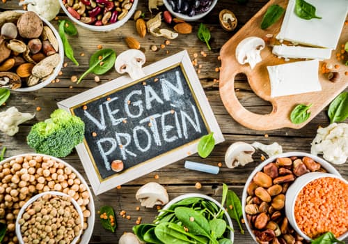 Vegan protein