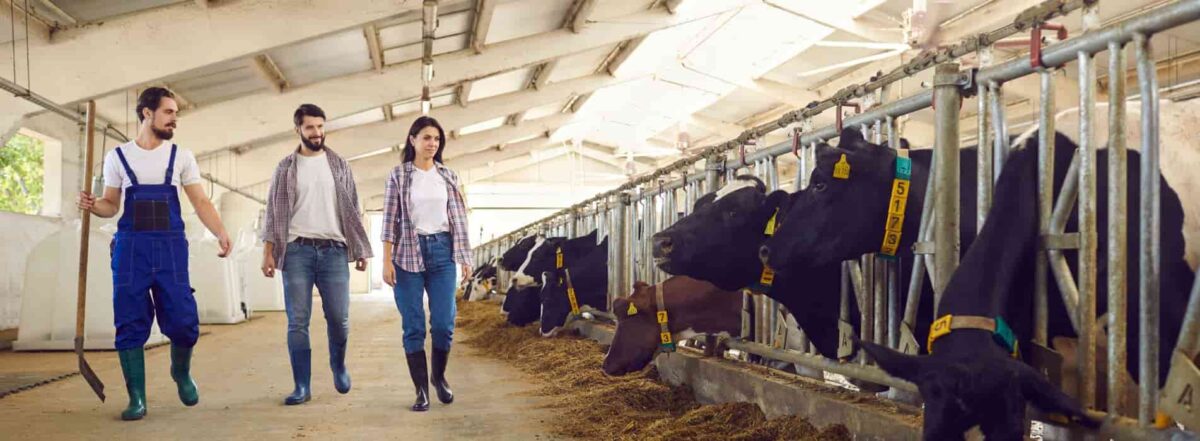 Is Organic Meat Better For Your Nutritional Health?