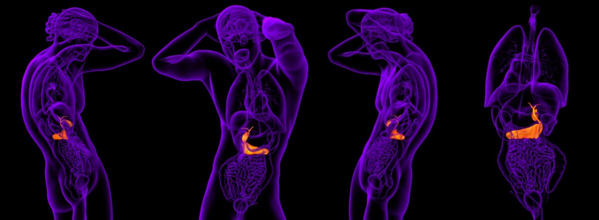 How to know if I have a disorder of the gallblader