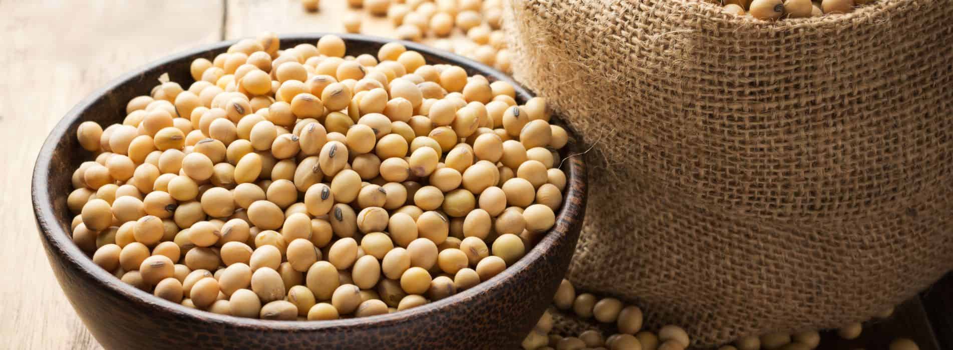 Soy grains for health