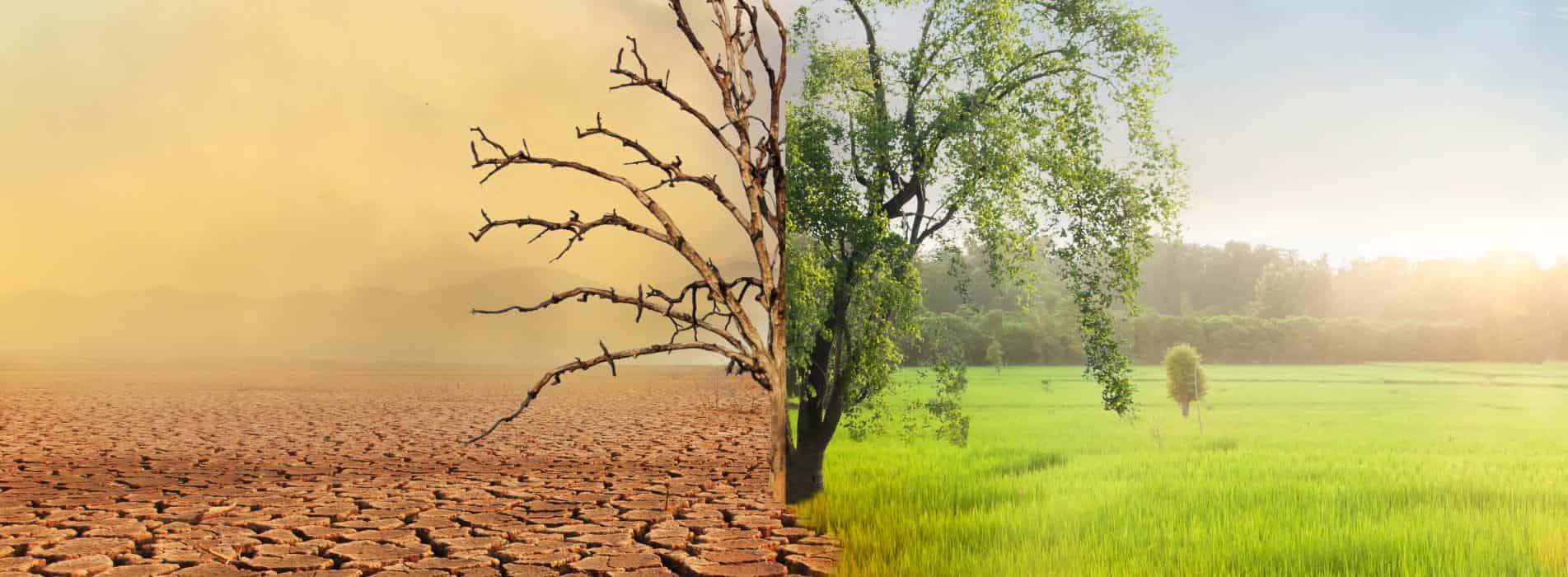 Climate change impact on our diets