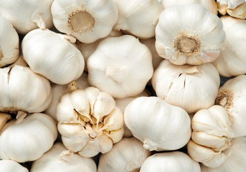 Garlic as a salt substitute