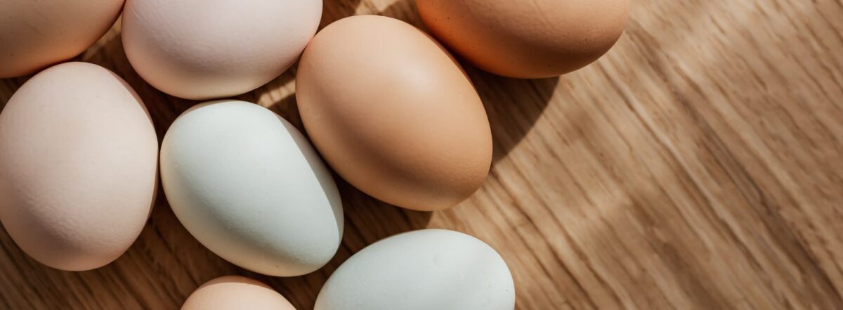 Is eating eggs everyday bad for weight loss?