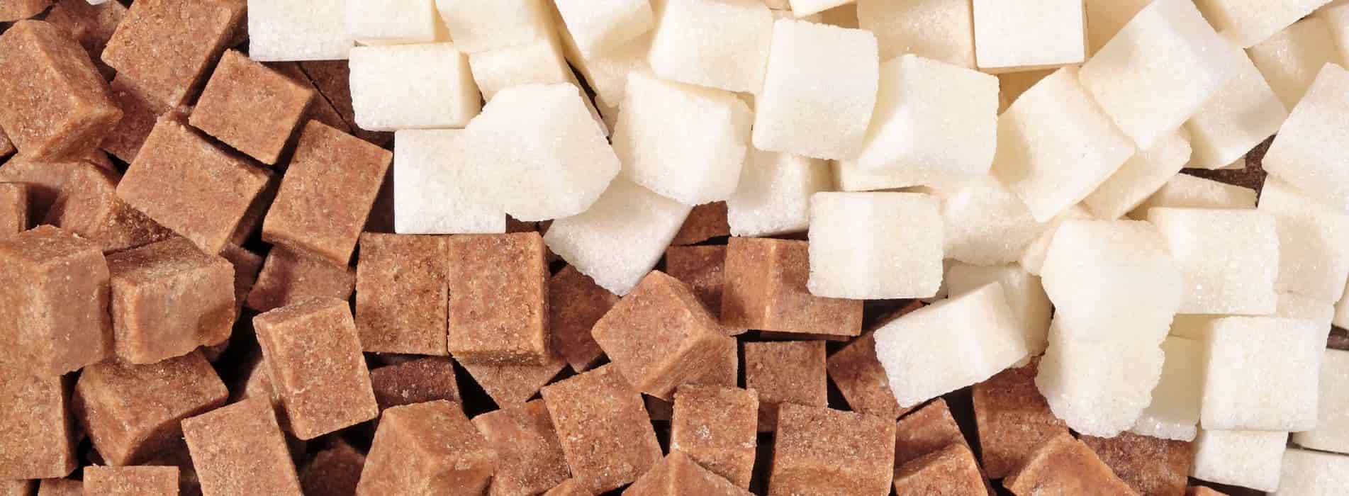 what are the symptoms of sucrose intolerance