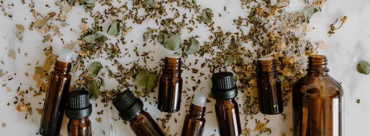 Winter Herbal Remedies For Immunity And Weight Loss