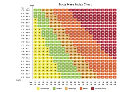 body mass index chart