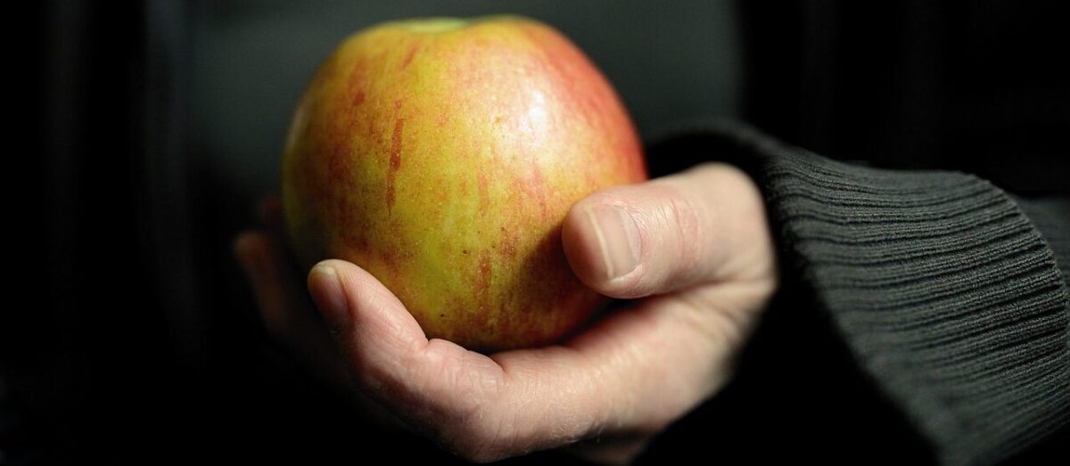 Losing Weight Without Surgery: Diets and Non-Surgical Bariatric Options